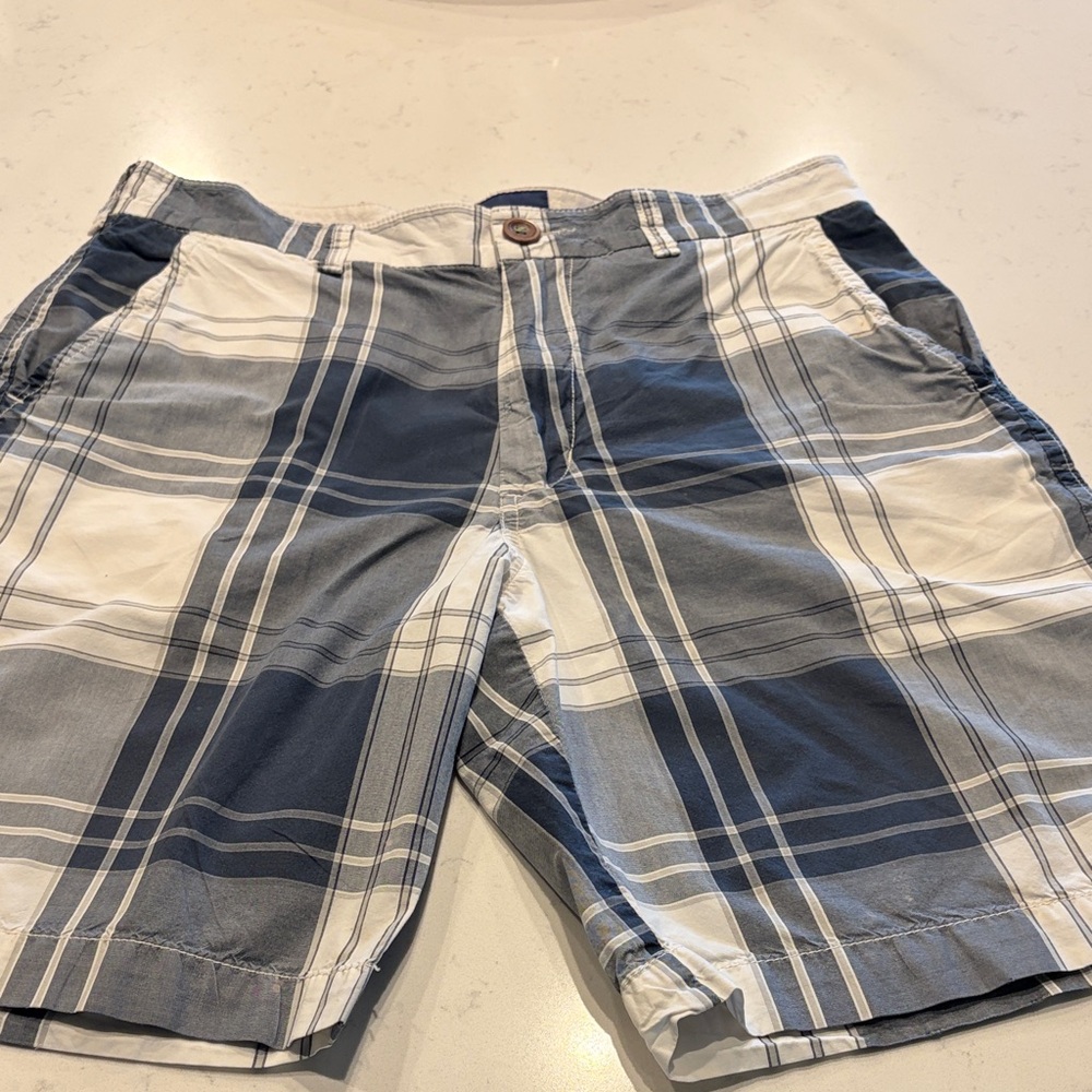 American Eagle Outfitters Navy and White Plaid Shorts
